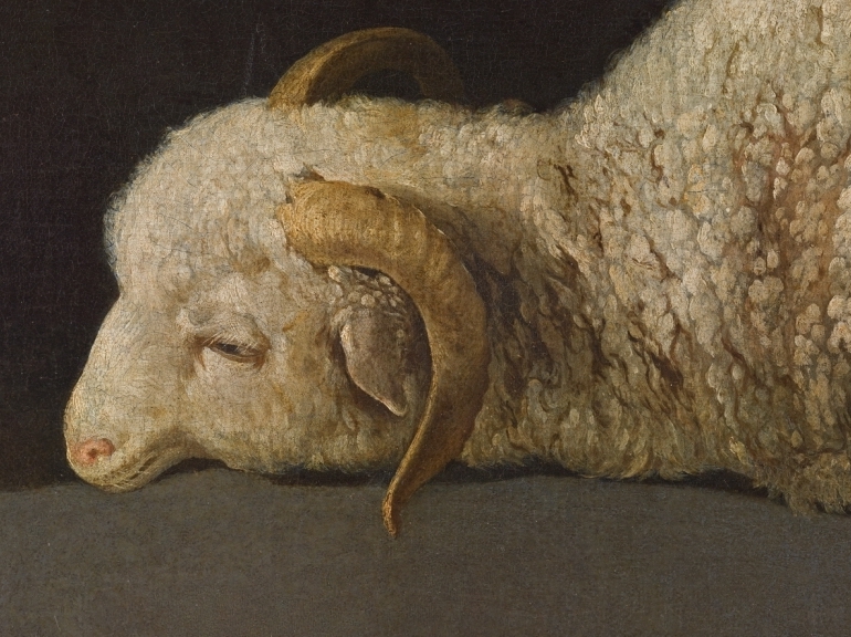 Zurbarán S Agnus Dei At The Prado