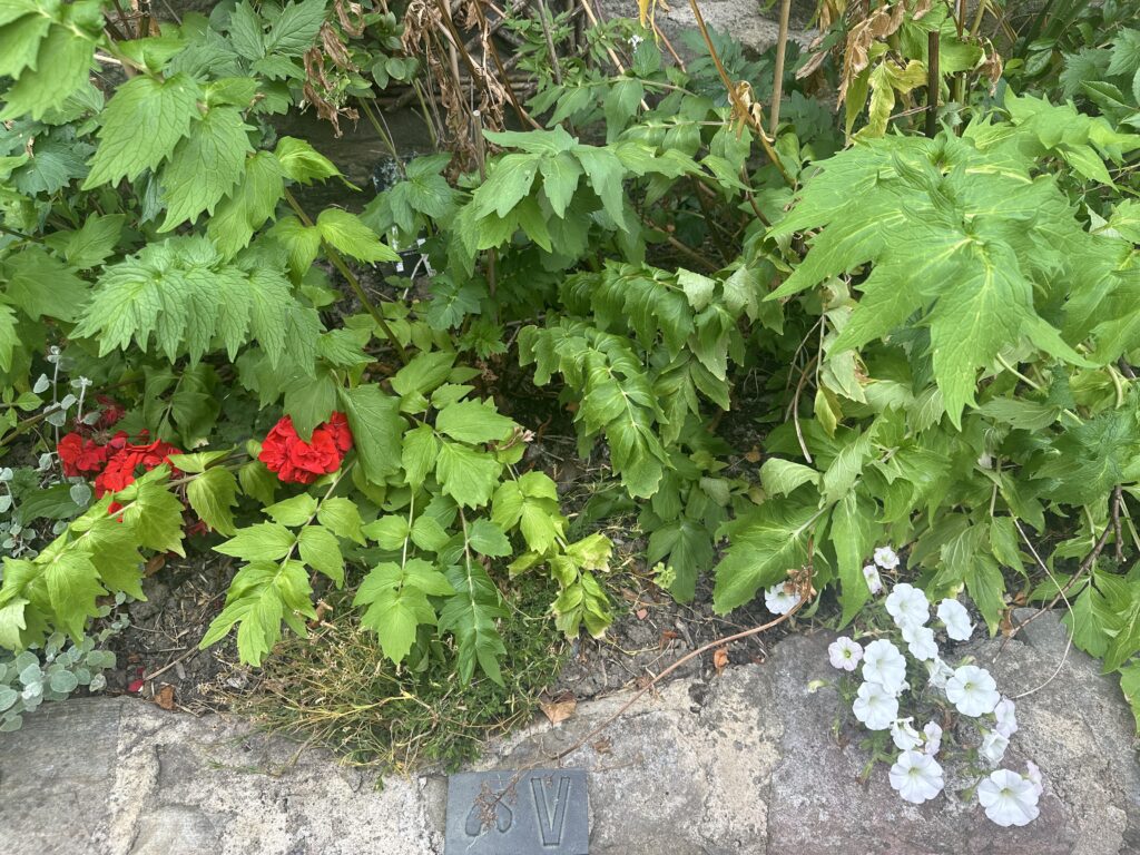 GARDEN WAY OF THE CROSS: FIFTH STATION